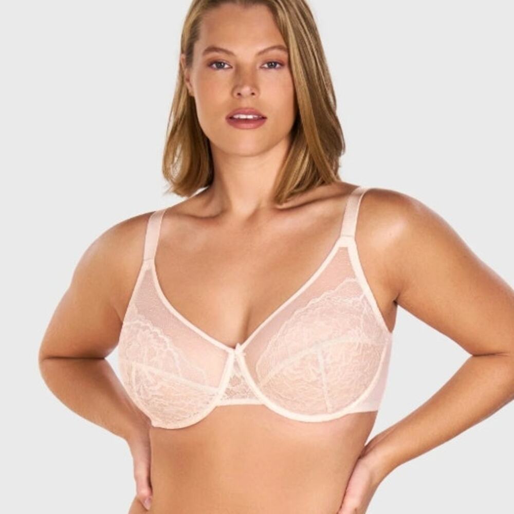 HSIA Enchante Beige Lace Underwire Bra Size 34DD NWT